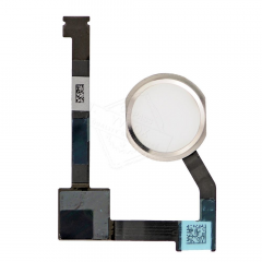 iPad Air 2 Home Button With Flex in White (Biometrics May Not Work)  5501303733797