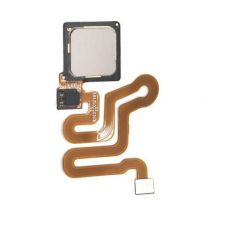 Huawei P9 / P9 Plus Rear Button / Finger Print sensor Gold OEM - 5511000423454